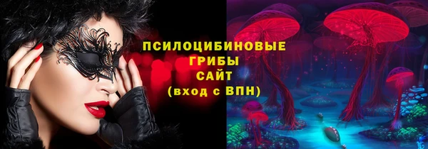 гашик Беломорск