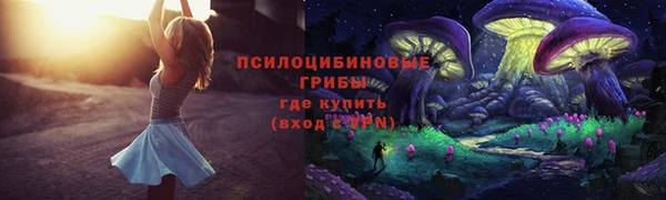 гашик Беломорск