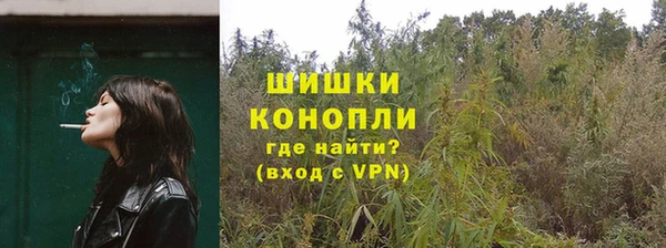 гашик Беломорск
